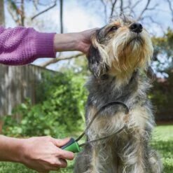 Shedding Tool -Kazoo Store Kazoo 12784 Sheddingtool D 48