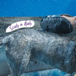 Washing Mitt 13 Washing Mitt -Kazoo Store Kazoo 12790 GroomingMitt D 61