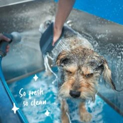 Washing Mitt 14 Washing Mitt -Kazoo Store Kazoo 12790 GroomingMitt D 62