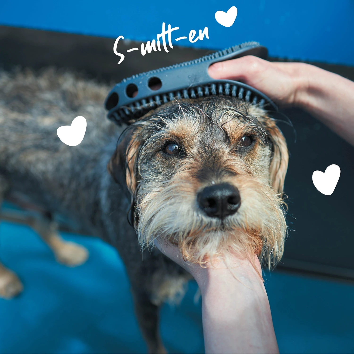 Washing Mitt 4 Washing Mitt - Image 2