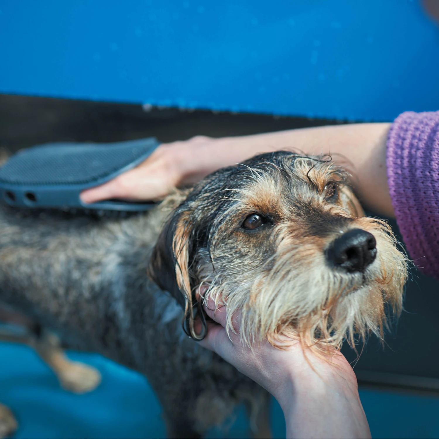 Washing Mitt 10 Washing Mitt - Image 8