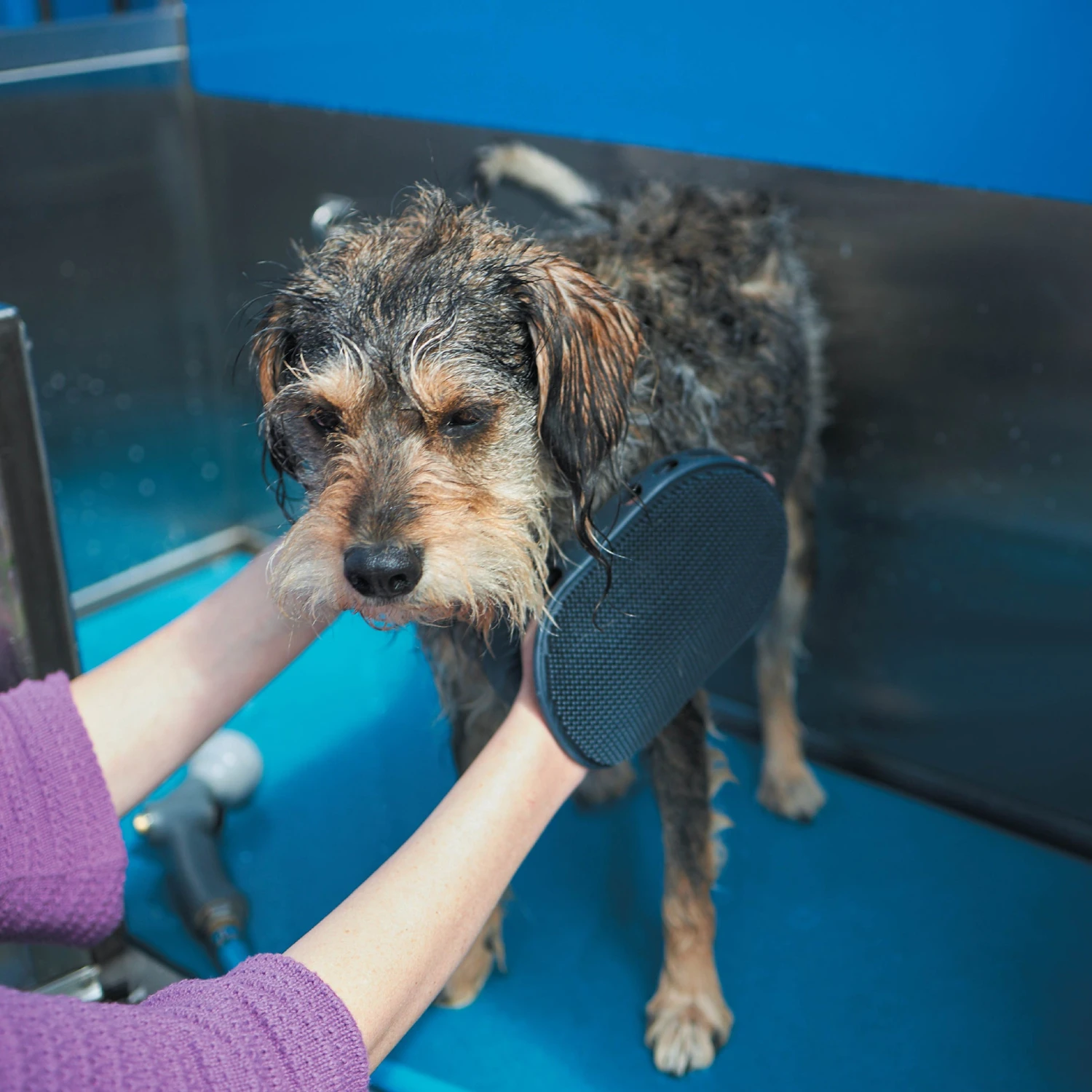 Washing Mitt 8 Washing Mitt - Image 6