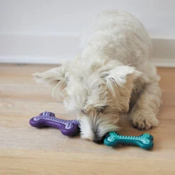 Puppy Teether Dog Toy -Kazoo Store Kazoo 13176 13177 PuppyTeether LS 7