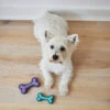 Puppy Teether Dog Toy -Kazoo Store Kazoo 13176 13177 PuppyTeether LS 8