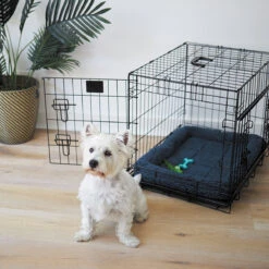 Puppy Teether Dog Toy -Kazoo Store Kazoo 13176 13177 PuppyTeether LS 9