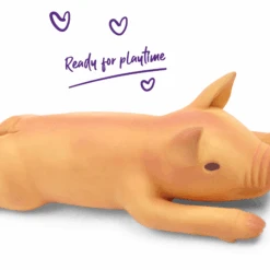 Silly Pig Squeaky Dog Toy -Kazoo Store Kazoo 13648 SillyPig Mini D2