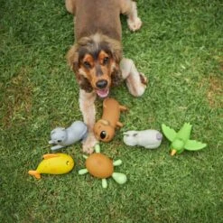 Rocket The Fish - Medium Dog Toy -Kazoo Store Kazoo 13676 13686 LatexMascots LS2 ab1d5bf1 e8db 41da 8440 e760b1e4f401