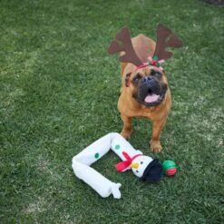 Super Long Snowman -Kazoo Store Kazoo 13858 13860 Christmas LS1 0db384fe a776 4cf4 a17d 68a7a848de52