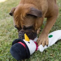 Super Long Snowman -Kazoo Store Kazoo 13860 SuperLongSnowman LS 2