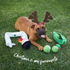 Super Long Snowman -Kazoo Store Kazoo 13868 13868 13859 13860 13858 Christmas Doodles2 eaca504e 062a 4284 91de f5447f4b899e