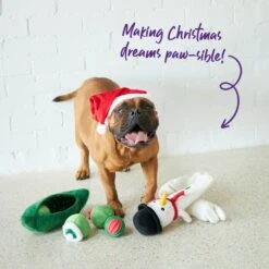 Super Long Snowman -Kazoo Store Kazoo 13868 13868 13859 13860 13858 Christmas Doodles3 643458f9 8dfe 48ce a3b6 7748db7df9e6