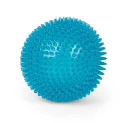 Tough Chewing Space Balls - Large Dog Toy -Kazoo Store Kazoo 13899 Space Ball L New Teal