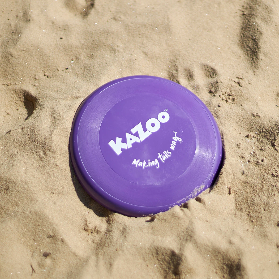 Kazoo Purple Frisbee Dog Toy 5 Kazoo Purple Frisbee Dog Toy - Image 3
