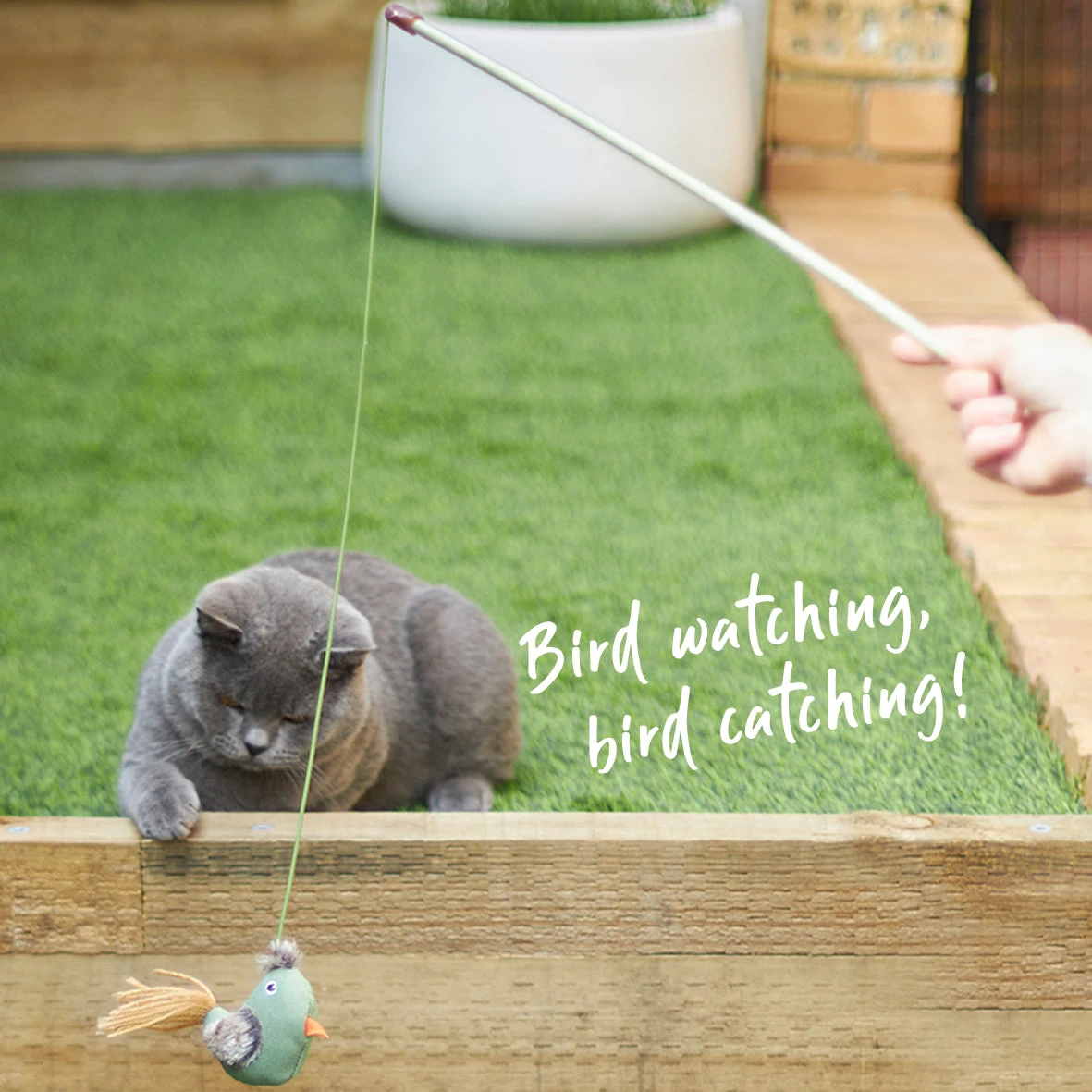 Eco-Friendly Fantail Bird Wand With Catnip And Recycled Materials 7 Eco-Friendly Fantail Bird Wand With Catnip And Recycled Materials - Image 5