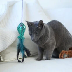 Ripple Fish Chase & Play Wand -Kazoo Store Kazoo 13985 PlayWand RippleFish LS 1