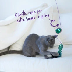 Ripple Fish Chase & Play Wand -Kazoo Store Kazoo 13985 PlayWand RippleFish LS 5 D