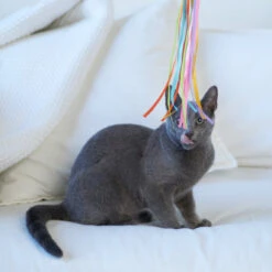 Streamer Fish Play And Catch Wand 17 Streamer Fish Play And Catch Wand -Kazoo Store Kazoo 13986 PlayWand StreamerFish LS 1