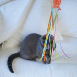 Streamer Fish Play And Catch Wand 21 Streamer Fish Play And Catch Wand -Kazoo Store Kazoo 13986 PlayWand StreamerFish LS 6