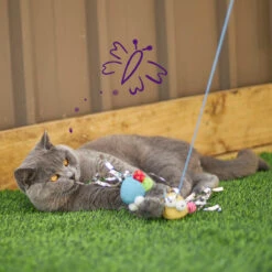 Butterfly High Chase & Play Wand With Catnip 13 Butterfly High Chase & Play Wand With Catnip -Kazoo Store Kazoo 13987 PlayWand ButterflyHigh LS 11 Doodles