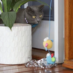 Butterfly High Chase & Play Wand With Catnip 15 Butterfly High Chase & Play Wand With Catnip -Kazoo Store Kazoo 13987 PlayWand ButterflyHigh LS 6