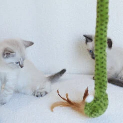 Spotty Snake Play & Chase Wand -Kazoo Store Kazoo 13988 PlayWand SpottySnake LS 5