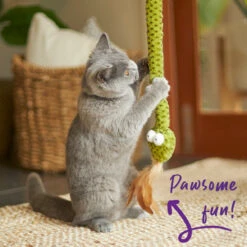 Spotty Snake Play & Chase Wand -Kazoo Store Kazoo 13988 PlayWand SpottySnake R 55 LS8 D