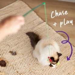 Hungry Caterpillar Wand -Kazoo Store Kazoo 13989 PlayWand HungryCaterpillarWand 45.5 LS5 D