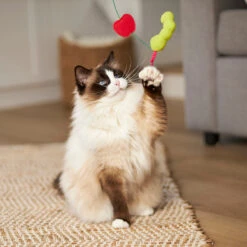 Hungry Caterpillar Wand -Kazoo Store Kazoo 13989 PlayWand HungryCaterpillarWand 45.5 LS6