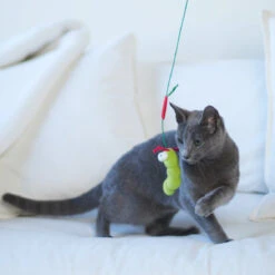 Hungry Caterpillar Wand -Kazoo Store Kazoo 13989 PlayWand MunchyCaterpillar LS 4