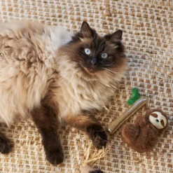 Jungle Sloth With Catnip And Silvervine -Kazoo Store Kazoo 13993 JungleSloth 13x8x4 LS1