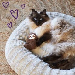 Jungle Sloth With Catnip And Silvervine -Kazoo Store Kazoo 13993 JungleSloth 13x8x4 LS3 D