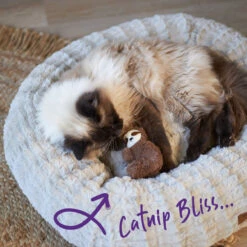 Jungle Sloth With Catnip And Silvervine -Kazoo Store Kazoo 13993 JungleSloth 13x8x4 LS4 d