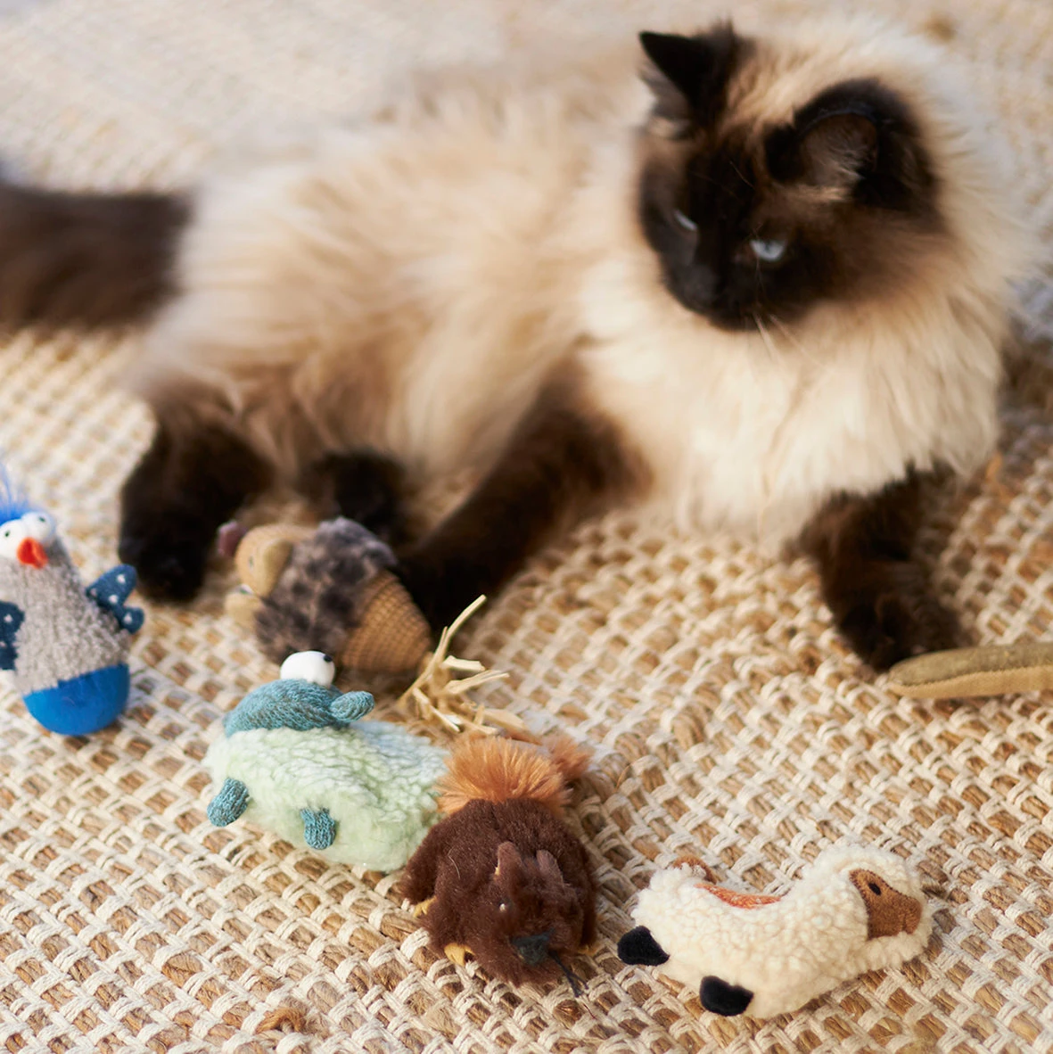 Love A Llama With Replacement Catnip And Silvervine 4 Love A Llama With Replacement Catnip And Silvervine - Image 2