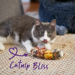 Velcro Worm With Catnip And Velcro Balls 19 Velcro Worm With Catnip And Velcro Balls -Kazoo Store Kazoo 13997 VelcroWorm 16.5x4x4 LS3 D