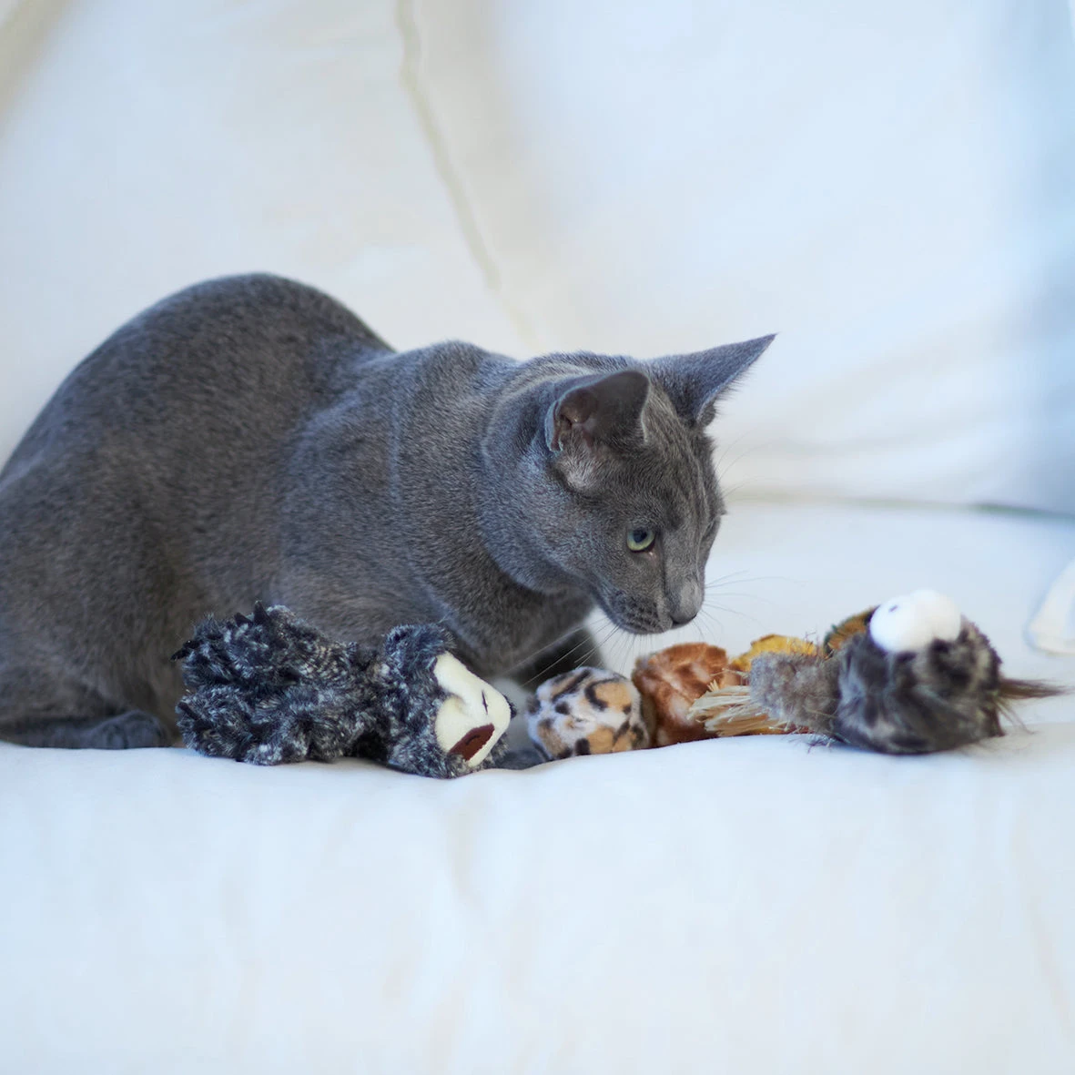 Velcro Worm With Catnip And Velcro Balls 12 Velcro Worm With Catnip And Velcro Balls - Image 10