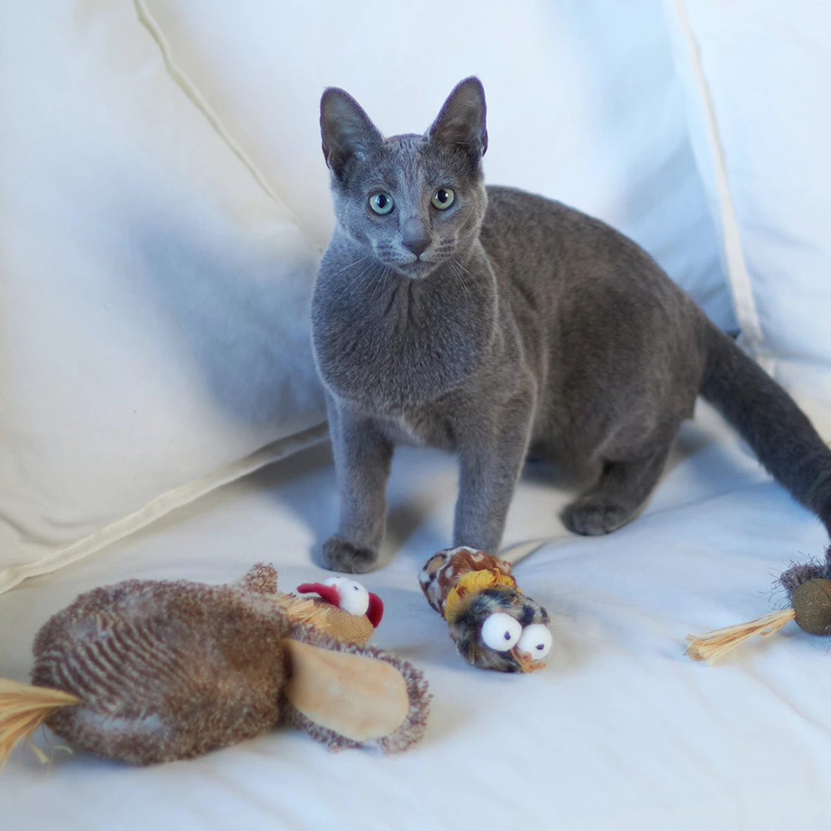 Velcro Worm With Catnip And Velcro Balls 7 Velcro Worm With Catnip And Velcro Balls - Image 5