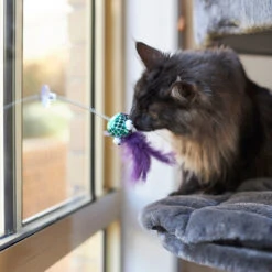 Bouncy Fish With Catnip And Spring Suction Cap -Kazoo Store Kazoo 13999 KittyPawPlay BouncyFish 21x8x4 LS3