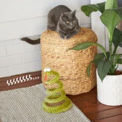 Stimulating Springy Snake -Kazoo Store Kazoo 14001 SpringySnake Front 28x18x18 LS8 D