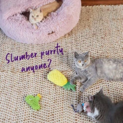 Crinkly Pineapple With Catnip -Kazoo Store Kazoo 14004 CrinklyPineapple 21x9.5x4 LS2