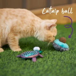 Playful Avocado With Catnip -Kazoo Store Kazoo 14005 PlayfulAvow Catnip 12x8x4 LS3 D