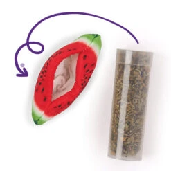 Watermelon Wedge With Replacement Catnip -Kazoo Store Kazoo 14006 CatnipWatermelon Open 9x4.5x3 D