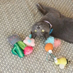 Garden Treats Cat Toy W/ Silvervine -Kazoo Store Kazoo 14014 GardenTreats 13x5x3 LS2