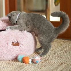 Garden Treats Cat Toy W/ Silvervine -Kazoo Store Kazoo 14014 GardenTreats 13x5x3 LS7