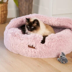 Koala Cuddles With Silvervine -Kazoo Store Kazoo 14015 KoalaCuddles LS 2