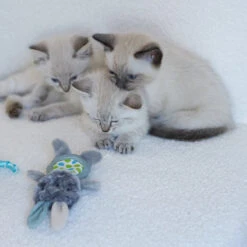 Grumpy Rabbit With Catnip & Silvervine Cat Toy -Kazoo Store Kazoo 14016 GrumpyRabbitw Catnip 15x9x2.5 LS1