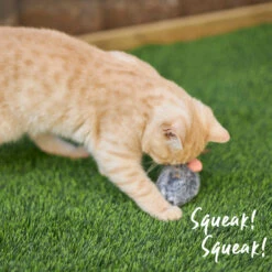 Noisy Mouse With Sound Chip And Catnip -Kazoo Store Kazoo 14018 NoisyMouse Front 8.5x6x4 LS3 D