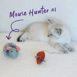 Noisy Mouse With Sound Chip And Catnip -Kazoo Store Kazoo 14018 NoisyMouse Front 8.5x6x4 LS6 D