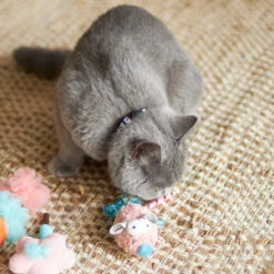 Pinky Mouse With Sound Chip And Catnip -Kazoo Store Kazoo 14020 PinkySqueakyMouse 15x5x5 LS4