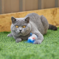 Wobble Duck Cat Toy -Kazoo Store Kazoo 14023 WobbleDuck Side 10x6x4 LS1