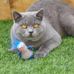 Wobble Duck Cat Toy -Kazoo Store Kazoo 14023 WobbleDuck Side 10x6x4 LS2